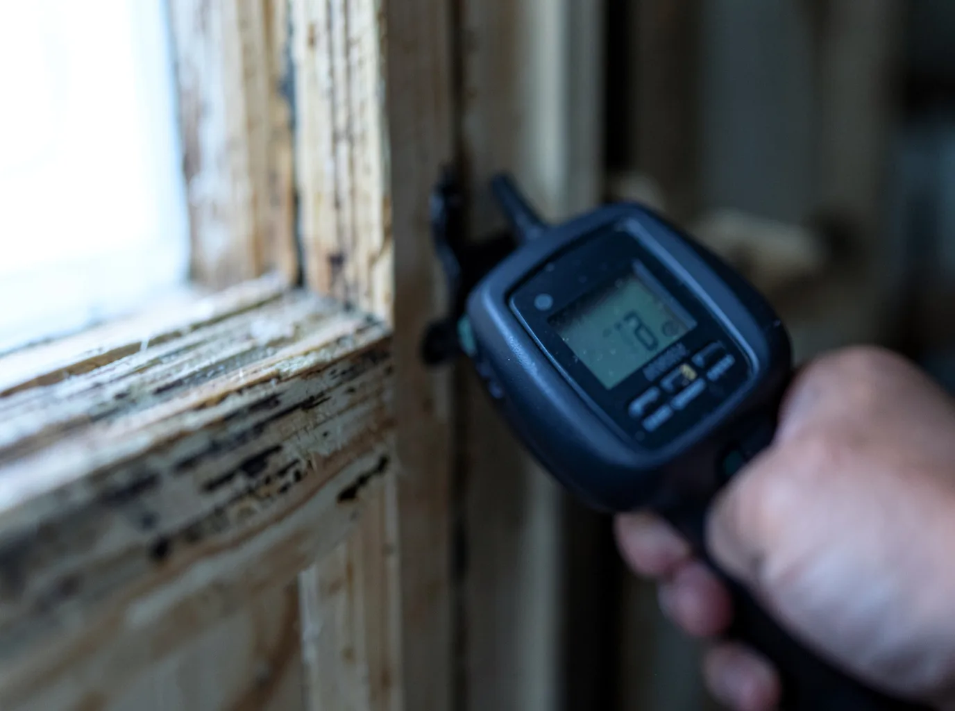 Moisture Inspection And Documentation in Pierce, TX